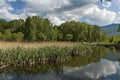 Small dam in the beautiful South park, Sofia