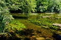 Small Danuba River, Slovakia Royalty Free Stock Photo