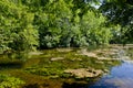 Small Danuba River, Slovakia Royalty Free Stock Photo