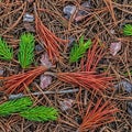 With small dark tree bark chips and twigs creating a textured and Royalty Free Stock Photo