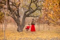 Beautiful mother in a long dress is swinging on a hinged swing little daughter in a red coat in an autumn garden near an old gnarl Royalty Free Stock Photo