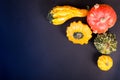 Small decor pumpkins on a black background. Autumn frame Royalty Free Stock Photo