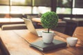 Small decorate tree, laptop, notebook and coffee cup in on wooden table in coffee shop. Relaxation and Business Co-working space Royalty Free Stock Photo