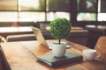 Small decorate tree, laptop, notebook and coffee cup in on wooden table in coffee shop. Relaxation and Business Co-working space Royalty Free Stock Photo