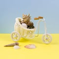 Small decorative bike with sea shells
