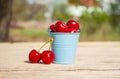 A small decorative bucket of blue with cherry berries Royalty Free Stock Photo