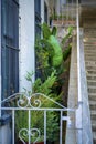 Small decorative gray metal gate entryway to house or home in downtown city location with steps and stoop front door Royalty Free Stock Photo