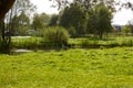 Small decorative pond with reeds in the park Royalty Free Stock Photo