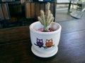 Small Decorative Potted Cactus on Wooden Table