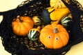 A small decorative pumpkins of a fancy shape in a black string shopping bag Royalty Free Stock Photo