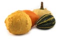 Small decorative pumpkins isolated