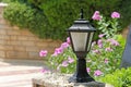 Small decorative street lamp in the yard Royalty Free Stock Photo