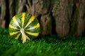 Small decorative striped pumpkin