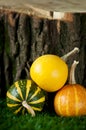 Small decorative striped pumpkins