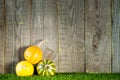 Small decorative striped pumpkins