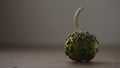 small decorative warty pumkin on walnut table with copy space