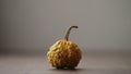 small decorative warty pumkin on walnut table with copy space