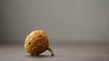 small decorative warty pumkin on walnut table with copy space