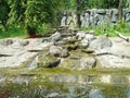 A small decorative waterfall in the garden. Landscape design Royalty Free Stock Photo