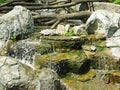 A small decorative waterfall in the garden. Landscape design Royalty Free Stock Photo