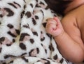 Small delicate little hand of newborn - close portrait Royalty Free Stock Photo