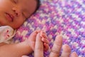 Small delicate little hand of newborn - close portrait Royalty Free Stock Photo