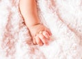 Small delicate little hand of newborn - close portrait Royalty Free Stock Photo