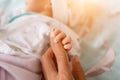 Small delicate little hand of newborn - close portrait Royalty Free Stock Photo