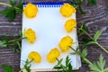 Small depth of field around the sketchpad flowers. drawing lessons, a white sheet of paper and flowers around a notebook