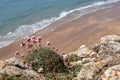 A small deserted beach in Pembrokeshire Royalty Free Stock Photo