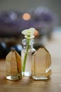 Small detailed flowers, tea light candle and amethyst candle holder. Occult themed, witchy alter in moody lighting. Macro lens Royalty Free Stock Photo