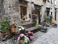 Flowers in the small italian village, Finalborgo, Savona, Italy Royalty Free Stock Photo