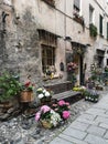 Colorful flowers in Finalborgo, Savona, Italy