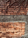 Roots growing through a historic brick wall