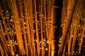 Small-diameter light-up of the bamboo grove small desk Castle forest of citizen