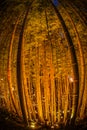 Small-diameter light-up of the bamboo grove small desk Castle forest of citizen