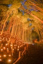 Small-diameter light-up of the bamboo grove small desk Castle forest of citizen