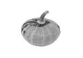 Small disc-shaped ornamental gourd