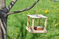 A small do-it-yourself wooden bird feeder on a tree in a local park.