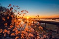 Small Dock and Boat at the lake Royalty Free Stock Photo