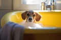 Small dog being washed in bath tube full of foam. Generative AI Royalty Free Stock Photo