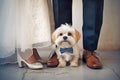 Small dog with bow tie between bride and groom feet at wedding Royalty Free Stock Photo