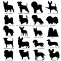 Small dog breeds silhouette bundle Royalty Free Stock Photo