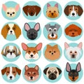 Small Dog Faces Set With Circle