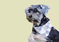 Small dog head shot low poly