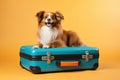 Small dog lying on bright modern closed suitcase, on solid yellow background.