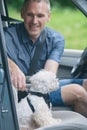 Dog traveling in a car Royalty Free Stock Photo