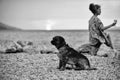 Dog and woman on beach