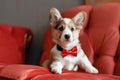 Small Dog With Red Bow Tie Sitting on Red Couch. Generative AI