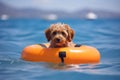 Small dog in rubber ring swimming in ocean. Generative AI